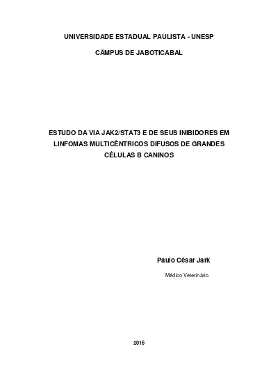 Expressão de STAT 3 e p STAT 3 em linfomas difusos de grandes células B