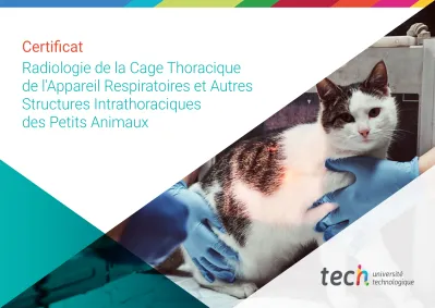 Certificat Radiologie De La Cage Thoracique De L Appareil Respiratoires