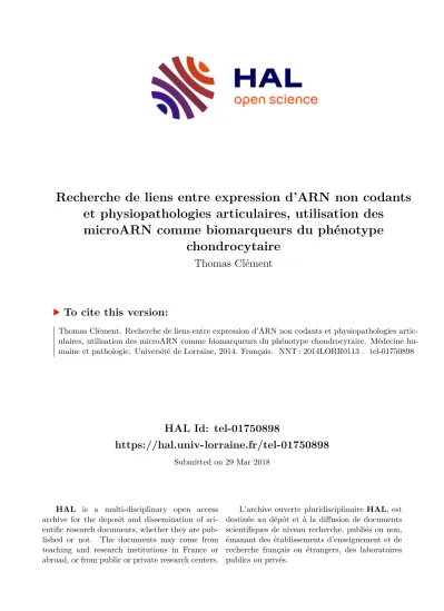 Détection des miARN matures et pri miARN par RT qPCR TaqMan