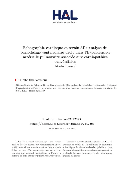 Chographie Cardiaque Et Strain D Analyse Du Remodelage