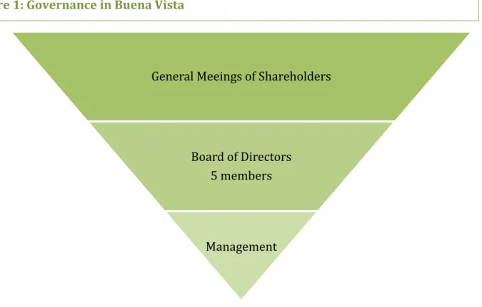 Figure 1: Governance in Buena Vista 