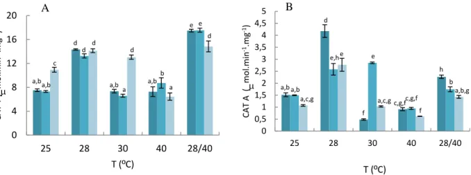 Figura 4.6-  Actividade catalase T (A), catalase A (B) de S. cerevisiae UE-ME 3  em meio YEPD líquido,  na ausência    e na presença de NP-TiO 2  na concentração de 0,1   e 1    µg/mL, a 25, 28,  30, 40, 28/40 ºC