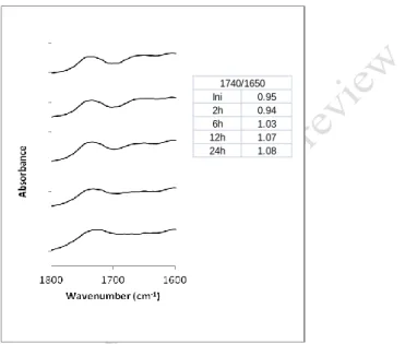 Figure 6. FTIR spectra of pine wood in the wavenumber range from 1800 to 1600 cm -1 . From top to 250 