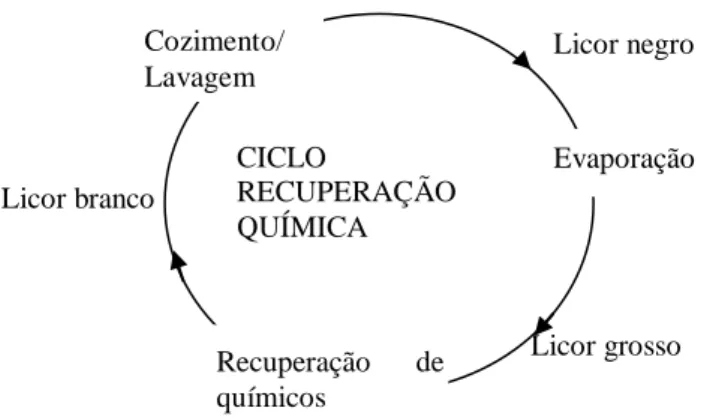 Figura 1 -  Principais etapas do ciclo de recuperação de química  (adapatado de Sixta, 2006) 