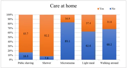 Figure 1. Care at home on own initiative. 