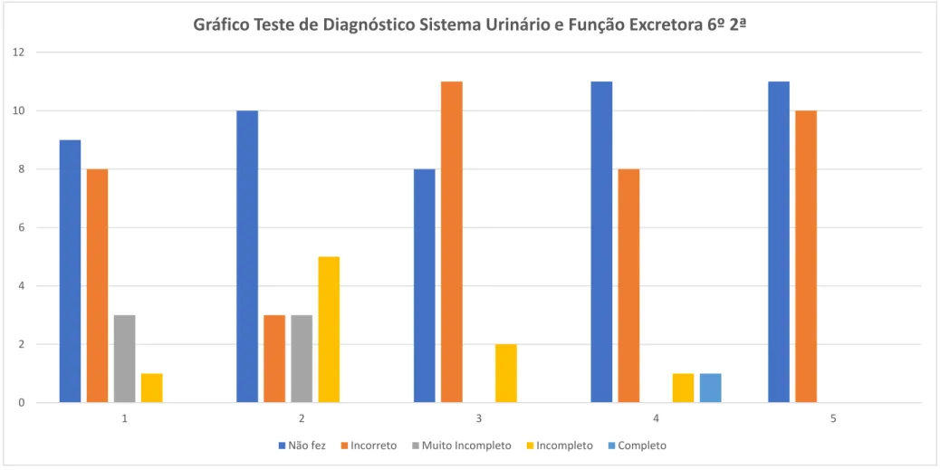 Gráfico Teste de Diagnóstico Sistema Urinário e Função Excretora 6º 2ª