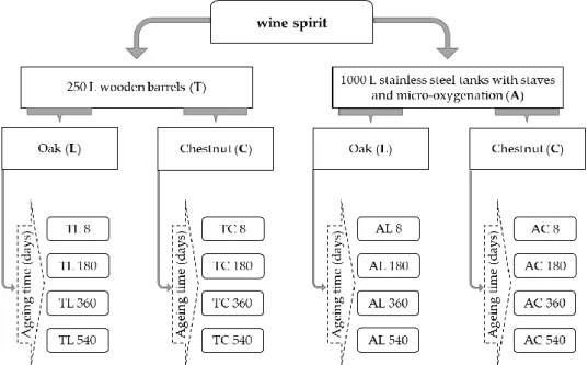 Figure 1. Scheme of the assay representing the different experimental units according to the ageing  technology, the wood used and the ageing time; three replicates were used for each barrel modality  and two replicates were used for each stainless steel t