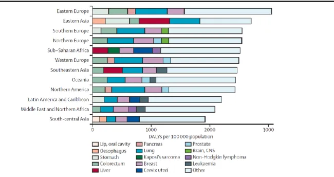 Figure 11 – Age-adjusted DALYs per 100 000 population by cancer site and level of Health Development Index (HDI) 