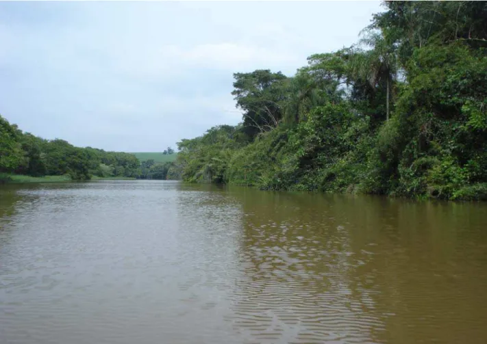 Figura 3. Foto do rio do Peixe, município de Anhembi, estado de São Paulo. 