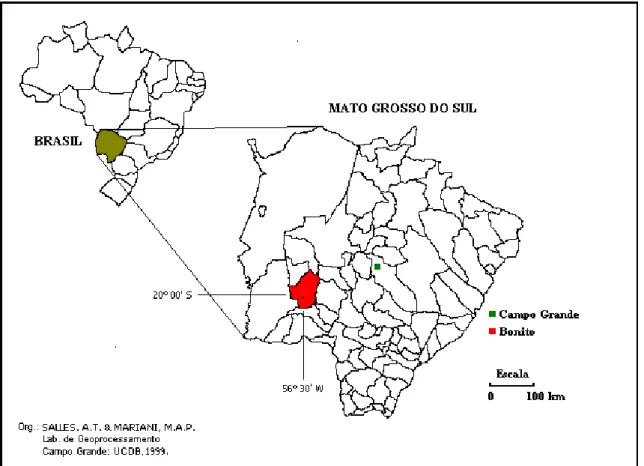 Figura 3: Localização geográfica do município de Bonito 