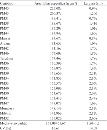 Tabela 3. Área foliar específica e largura de lâminas foliares  de 23 genótipos de Panicum maximum (1) .