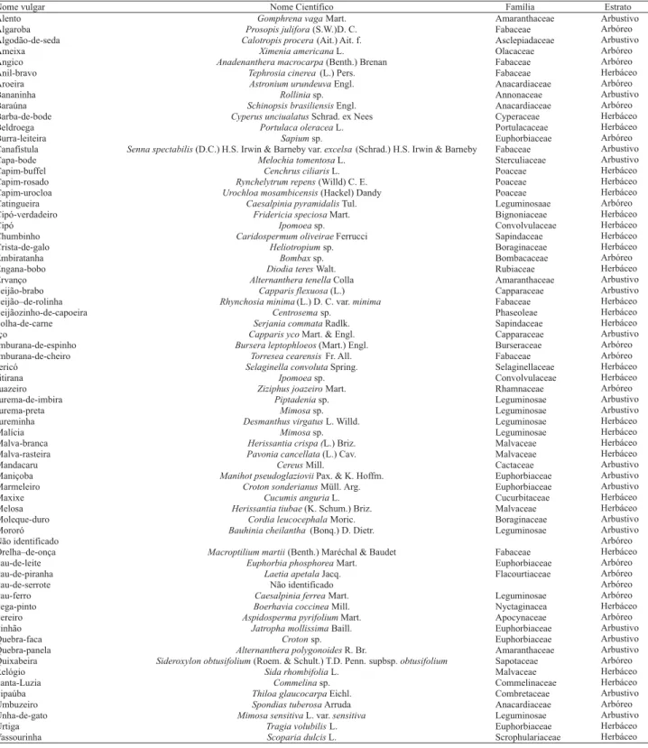 Tabela 1. Nome vulgar, nome científico, família e estrato das espécies encontradas na área de Caatinga, no período chuvoso, no Sertão de Pernambuco.