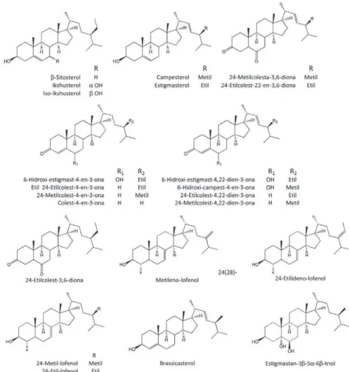 Figura 1.4 – Esteroides identificados em estudos químicos de Saccharum spp.