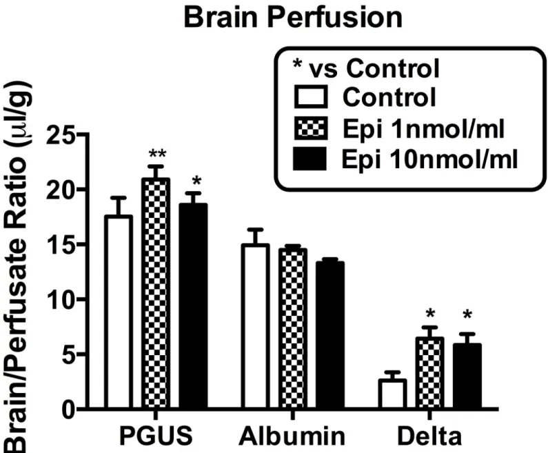 Fig 8. Brain perfusion of I-PGUS with or without epinephrine. Both doses of epinephrine enhanced BBB transport without disrupting the BBB