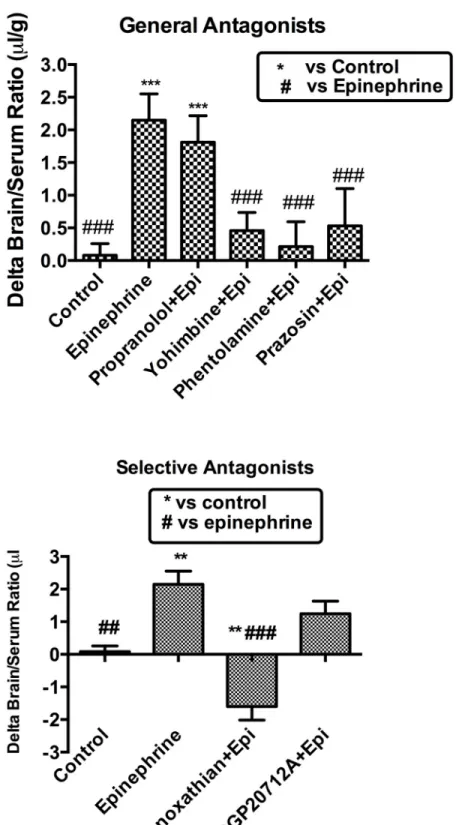 Fig 3. Effect of adrenergic antagonists on epinephrine-induced uptake of I-PGUS across the BBB.
