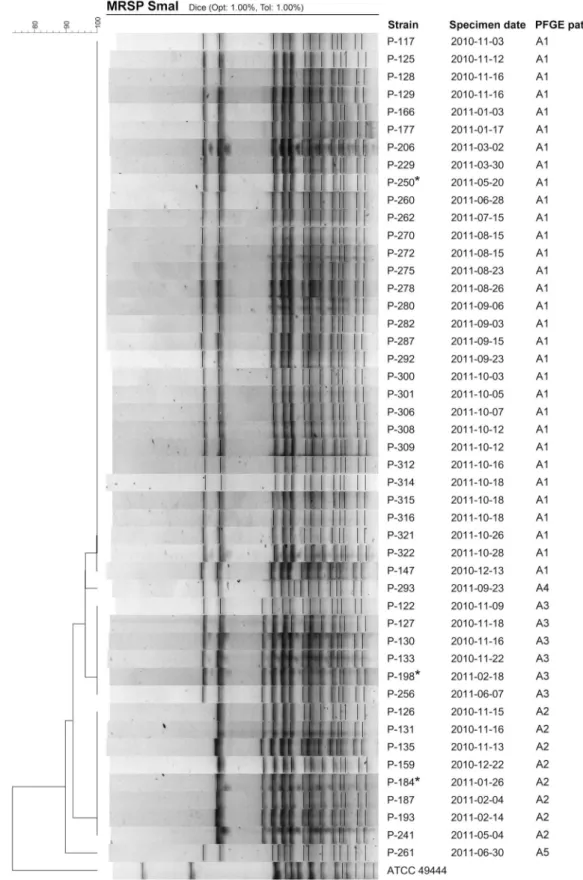 Figure 3. Dendrogram of 47 MRSP isolates with the outbreak antibiogram (see text). Staphylococcus pseudintermedius ATCC 49444 is displayed as a control