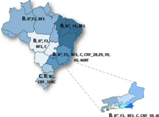 Figura 2B: Distribuição dos subtipos e formas recombinantes circulantes do  HIV-1 no Brasil
