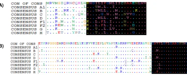 Figura  6:  Alinhamento  dos  peptídeos  identificados  com  as  sequências  consenso dos subtipos do 1