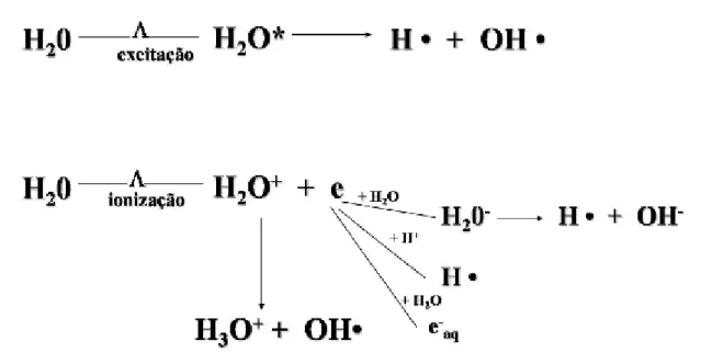Figura  2 – Resumo  das  reações  da  radiólise  da  água  (BURTON,  1947; ALLEN,  1948).