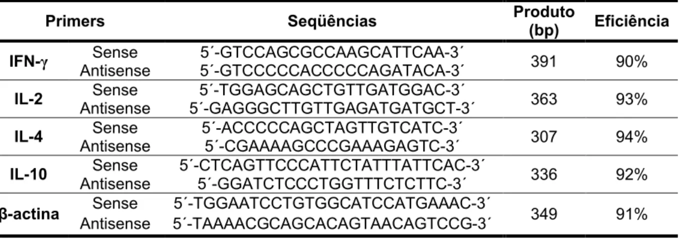 Tabela 1: Seqüência  dos primers  para IFN- γ, IL-2, IL-4, IL-10, β-actina e respectiva  eficiência da reação obtida na padronização do real-time PCR.