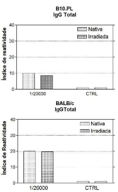 Figura 6 - Ensaio imunoenzimático para a avaliação da produção de anticorpos  IgGTotal contra  BTHX-1  nativa  ou  irradiada,  por  camundongos  B10.PL  e  BALB/c