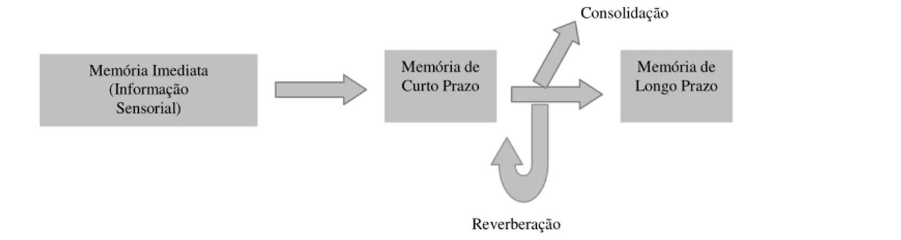 Figura 2- Modelo Modal da Memória. 