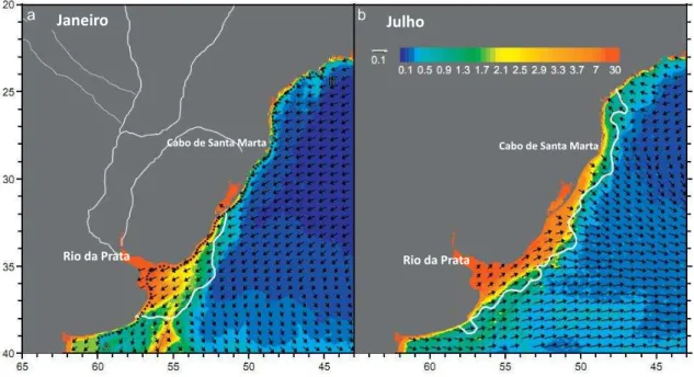 Figura 5: Distribuição climatológica de clorofila-a (mg.m -3 ) em janeiro (a) e julho (b)  derivada  de  imagens  SeaWIFS  com  médias  mensais  e  resolução  espacial  de  9  km  (1998-2005)