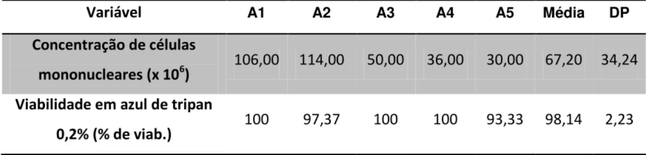 Tabela  1  –   Concentração  e  viabilidade  em  azul  de  tripan  0,2%  de  células  mononucleares  totais  obtidas  do  aspirado  de  medula  óssea  após  processamento  em  gradiente  de  concentração –  São Paulo  –  2013-14 