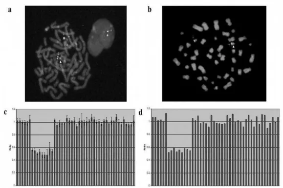Figure 2. Fluorescence in situ hybridisation and multiplex ligation-dependent probe amplification analyses of the 22q11.2 region in Patient 2 and his mother.