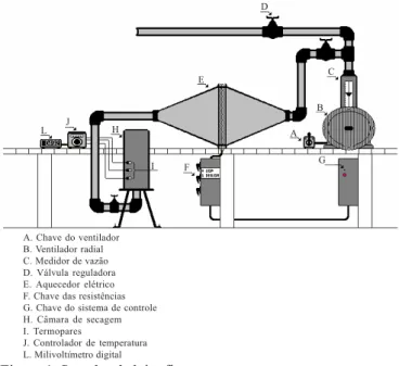 Figura 1. Secador de leito fixo