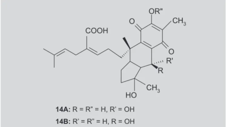 FIGURA 10 - Cacalol e maturinona.