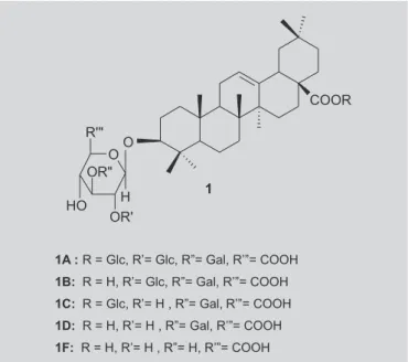 TABELA II - Produtos naturais hipoglicemiantes