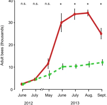 Fig 1. Dynamics of the adult bee population in colonies housed in small hives (dashed, green line) and colonies housed in large hives (solid, red line), from June 2012 to September 2013