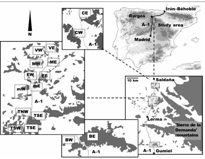 Fig.  1.  Geographical  location  of  the  study  area.  The  location  of  the  A–1  motorway  is  traced  on  the  Iberian peninsula in the upper–right panel, with the distribution of highlands and mountains (areas over  1,000 m a.s.l.) shown in a darker