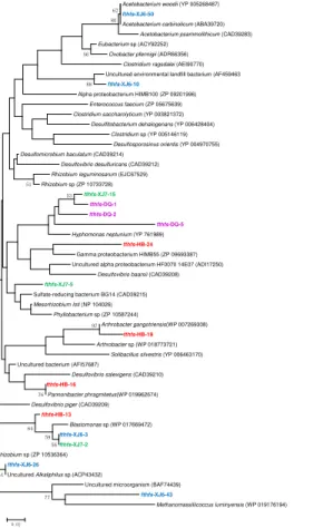 Figure 3. Phylogenetic tree of the fthfs gene retrieved from the water samples (colored) and closely related sequences from the GenBank database