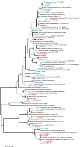 Figure 5. Phylogenetic tree of the mcrA gene retrieved from the water samples (colored) and closely related sequences from the GenBank database