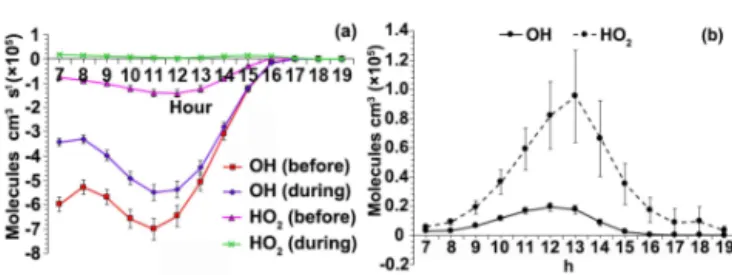 Figure 9. Daytime patterns of OH and HO 2 (a) before and (b) dur- dur-ing the program.