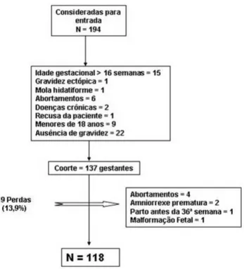 Figura 1 -  Organograma das exclusões e perdas da coorte Figure 1 – Chart of the exclusions and losses in the cohort