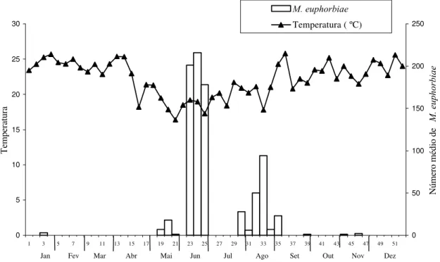 Figura 1. Ocorrência de M. euphorbiae em alface em cultivo hidropônico e temperatura média registrada dentro do respectivo período de amostragem