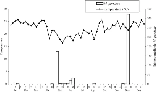 Figura 2. Ocorrência de M. persicae em alface em cultivo hidropônico e temperatura média registrada dentro do respectivo período de amostragem