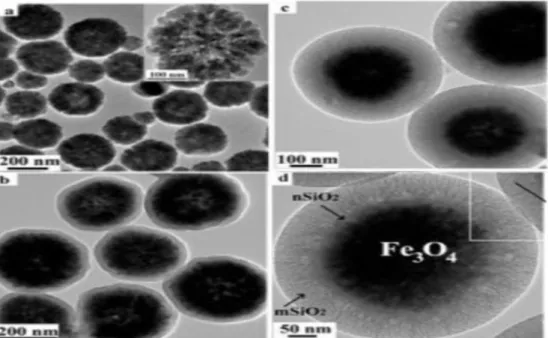 Fig: 2. TEM image of Nano iron oxide 