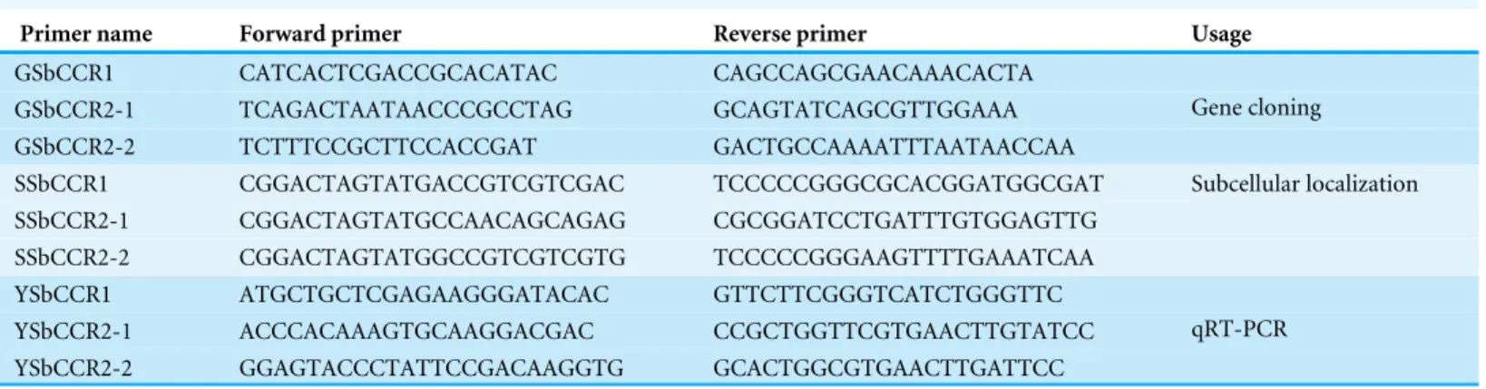 Table 1 The primers used in the research.