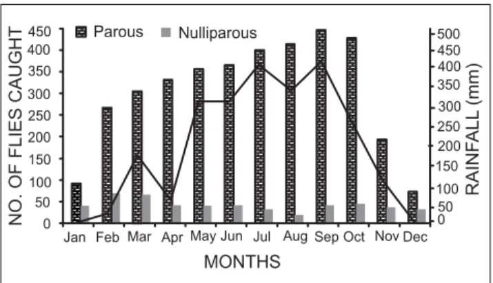 Fig. 1: Diurnal biting rate of Simulium damnosum at the three stations (Idomido, Obio Camp and Ikot Adah)