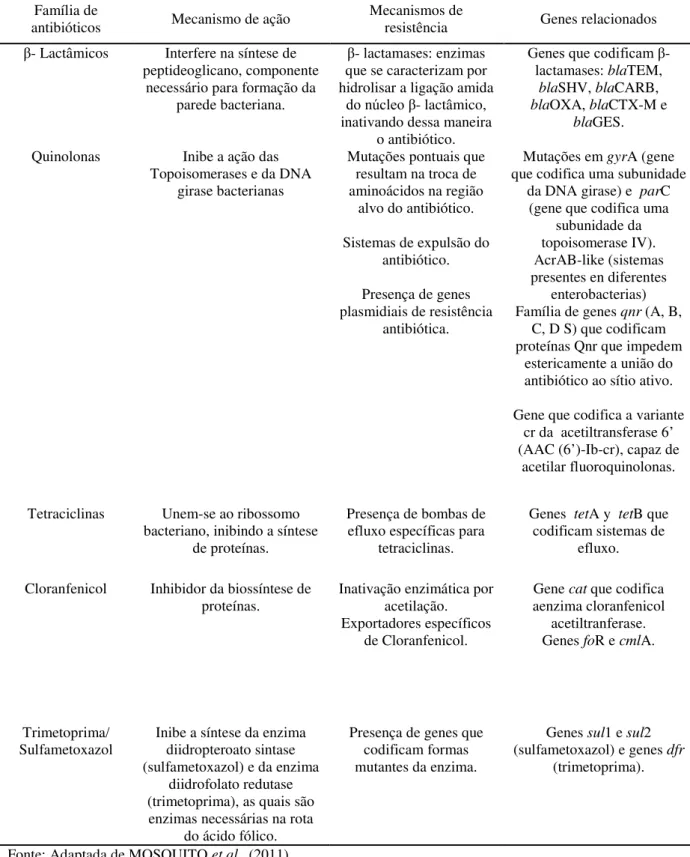 Tabela 1 –Mecanismos de resistência bacteriana aos principais antibióticos utilizados na prática clínica