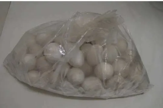 Figura III.3. Fotografia da remessa de 58 ovos apreendidos pela Polícia  Federal em Recife e recebidos congelados em Brasília