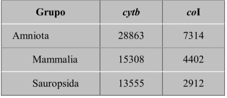Tabela IV.1: Número de seqüências de cytb e coI depositadas no GenBank até 01/10/2004