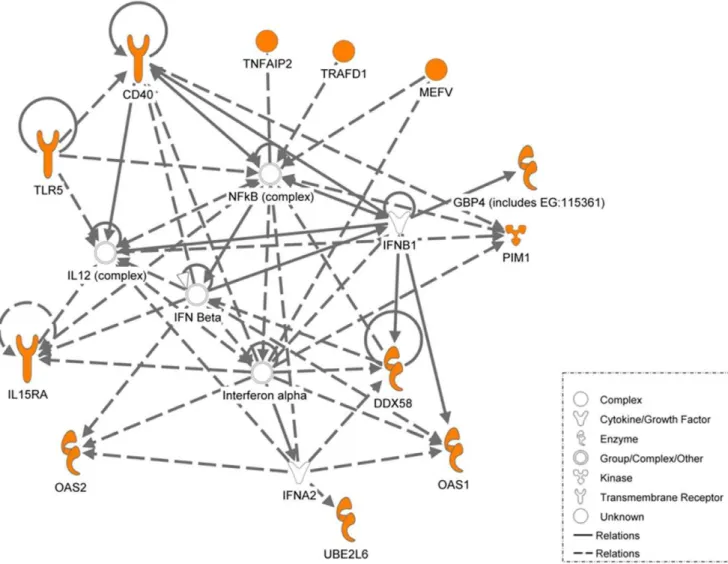 Figure 7. Ingenuity pathway analysis of the key genes identified. Ingenuity pathway analysis of the genes differentially regulated and common to the three systems described above (in orange)