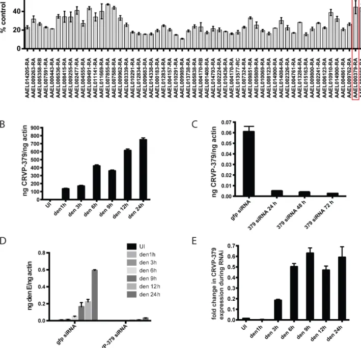 Fig 1. Silencing select virally-up-regulated genes reduces DENV infection in mosquito cells