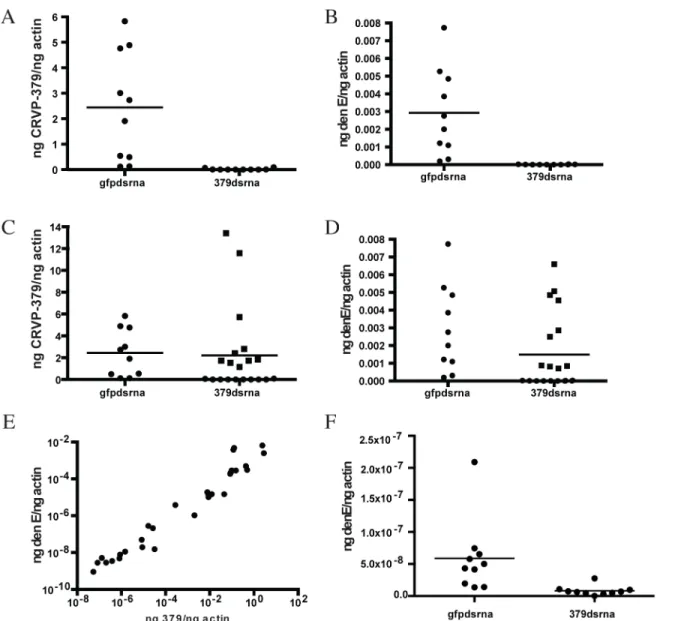 Fig 3. Silencing CRVP379 inhibits DENV acquisition in live mosquitoes. A-E. Mosquitoes were intra-thoracically injected with either dsRNA against the coding region of CRVP379 or dsRNA against GFP as control