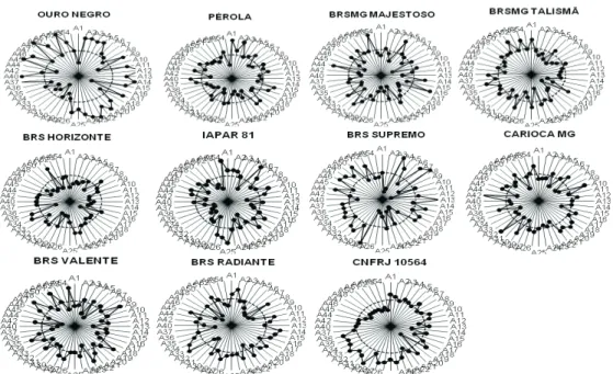 Figure 1. Diagram of the performance of 11 common bean lines with different growth habits, in 48 experiments in six environments (locations and growing seasons), three fertilizer rates and three sowing densities